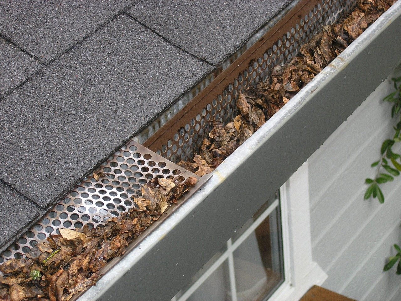 Gutter guard keeping leaves out of the trough
